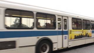 Download lagu MTA Bus : Orion V CNG #9849 on the Q29 at Queens Center Mall mp3 Download lagu MTA Bus : Orion V CNG #9849 on the Q29 at Queens Center Mall mp3