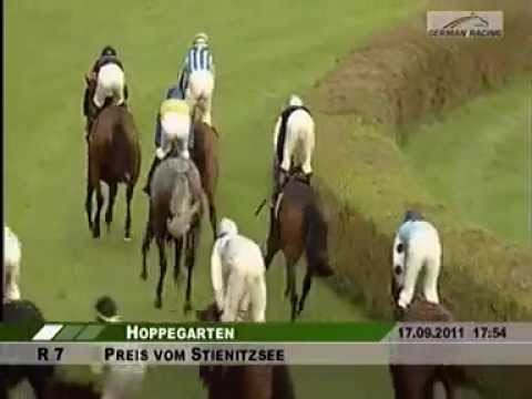RaceBets.com - Enjoy racing online - Horse betting.flv