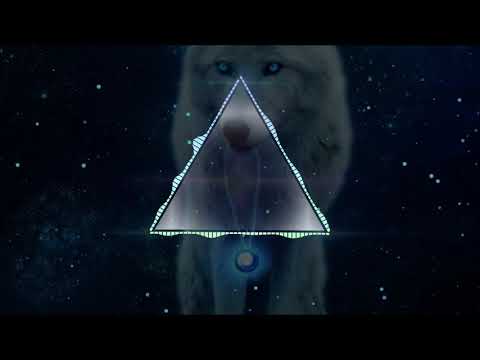 Scooter x Finch Asozial – Bassdrum (Remix Dj Butterfly)