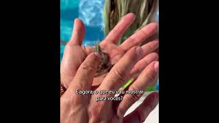 Vídeo de Kit CCRP Carvão Ativado 300ml