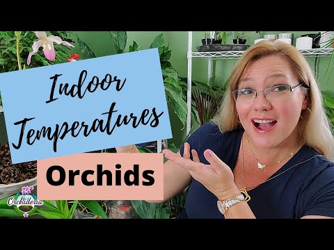 Temperatures for Indoor Orchids: Does Temperature Influence Blooms?