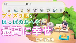 【ぽこあポケモン】イーブイ達のすみごごちを最高に！家具アイテム紹介＋すみごごちの上げ方