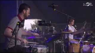 Bleachers - Wild Heart (Live @ Lollapalooza 2014)
