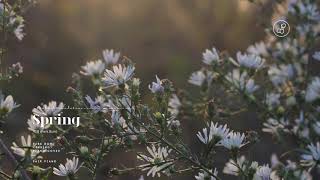 박봄 (Park Bom) - 봄 (Spring) Piano Cover 피아노 커버