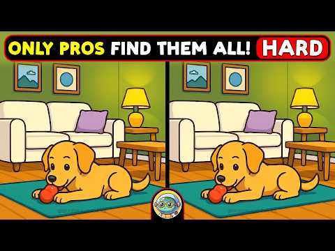 🐢🧩 Spot 3 Differences | Sharpen Your Focus 🧩🐢 | Quizonaut Turtle