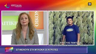 ΕΠΙΜΕΝΟΥΝ ΣΤΑ ΜΠΛΟΚΑ ΟΙ ΑΓΡΟΤΕΣ_ΧΡΗΣΤΟΣ ΠΑΝΤΖΙΟΣ 12 11 2025
