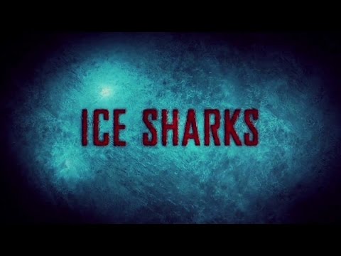 Ice Sharks Trailer Bizzarro Movie by Film&Clips