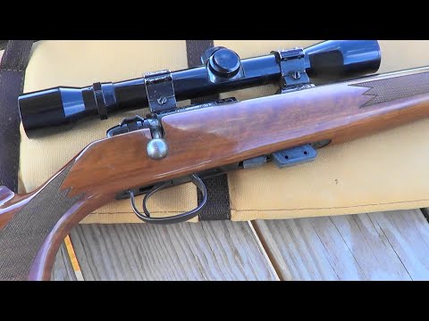 Remington Model 541S