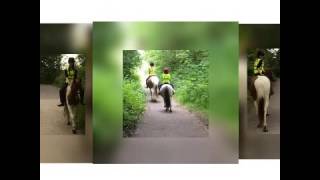 Matt terry- say you wont let go❤