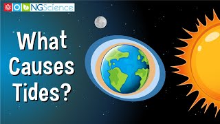 What Causes Tides?