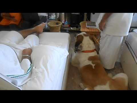 Roger 10 ‎March ‎2014, 14 37