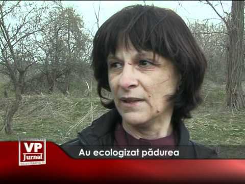 Au ecologizat pădurea