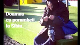 “Doamna cu porumbeii” aduce spiritul Crăciunului la Sibiu - O lecție de bunătate și omenie - AUDIO 1 video