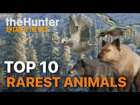 TOP 10 Rarest Fur Type Animals in the Entire Game | the Hunter Call of the Wild
