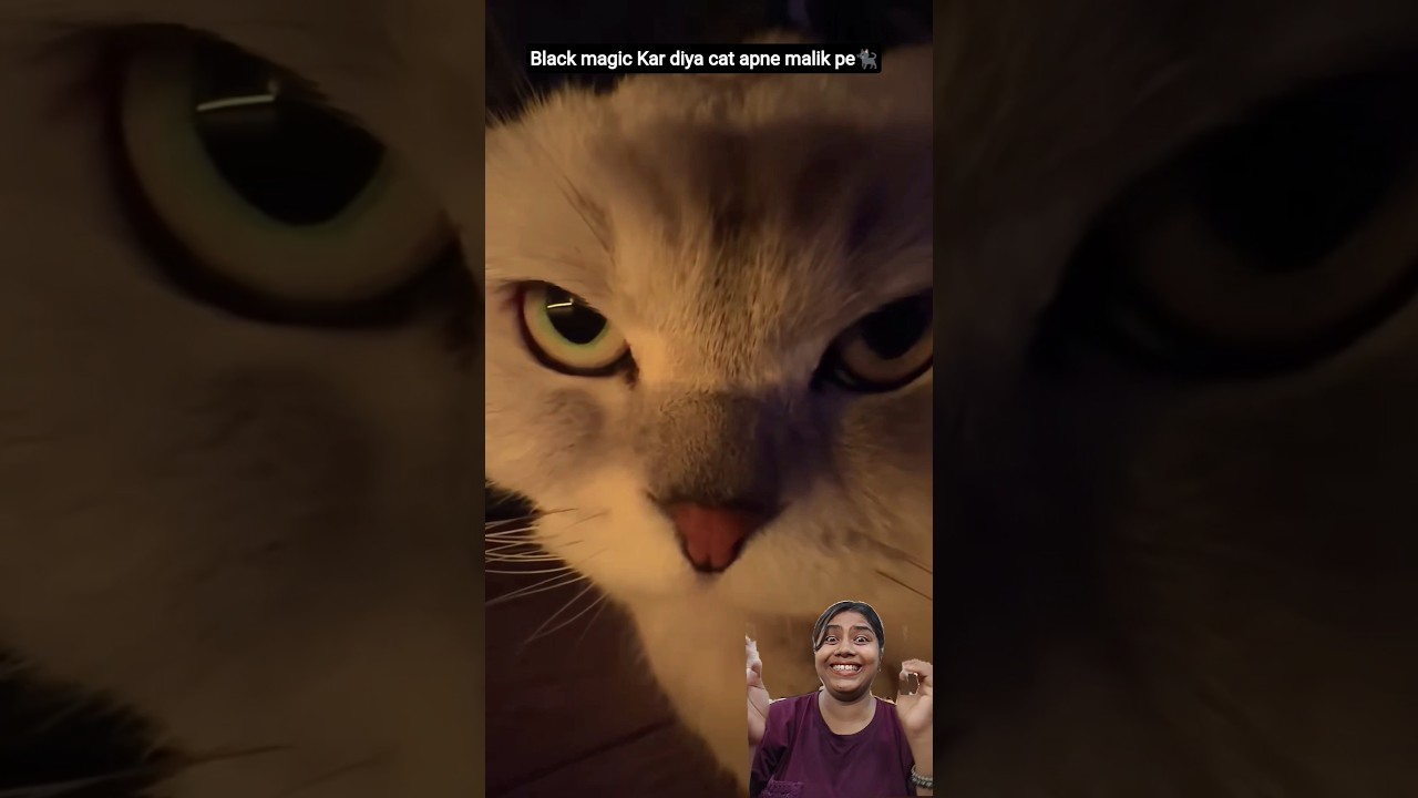 Cat did black magic on her owner😲😺 #funny #trending #viralmoment #comedy #shorts #youtube #fypシ