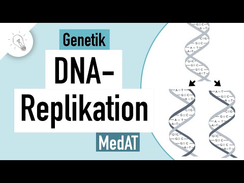 DNA Replikation einfach erklärt | Genetik | MedAT | Biologie