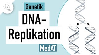 DNA Replikation einfach erklärt | Genetik | MedAT | Biologie