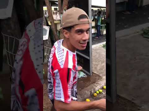 Do you only want papaya? Do you only want honey? Only persimmons