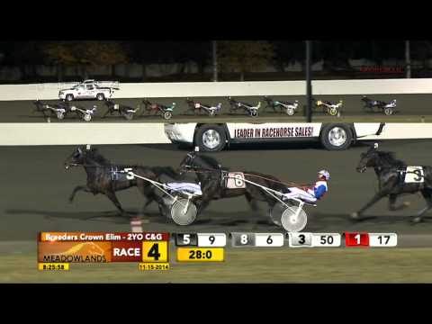 Breeders Crown Elimination - French Laundry - November 15, 2014