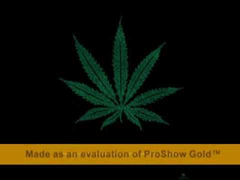 спенс feat. слим - трън в очите