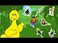 SESAME STREET JOURNEY TO ERNIE FINDING GAME