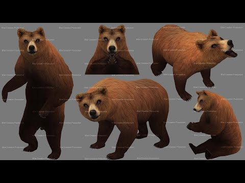 BEAR 3D REALISTIC CHARACTER | BILAL CREATION