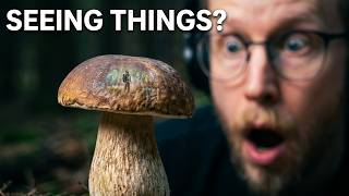 A Mushroom Makes You See Tiny People — For Days | Lilliputian Hallucinations