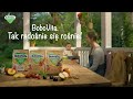 Tak Radośnie Się Rośnie Kaszki BoboVita Porcja Zbóż Na Dzień Dobry