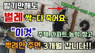 밟기만해도 벌레해충 싹다죽어요 이것 한번만 뿌려주면 3개월갑니다!! 지네 바퀴벌레 개미 노래기 공벌레 퇴치약