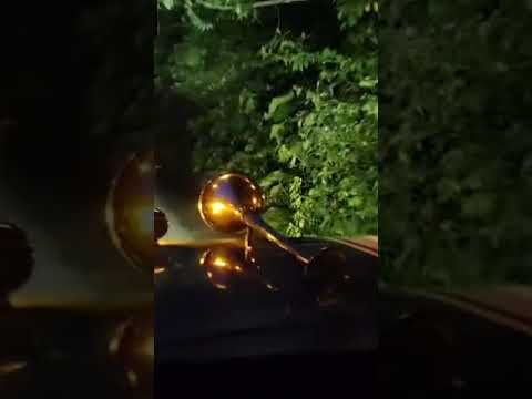 Chivas de san José del palmar #busesescalera #bus #chivas #trochacolombiana #carretera