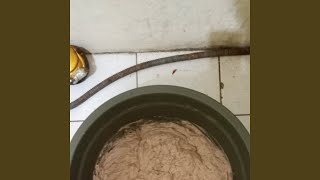 Download lagu You only for me (Remastered 2025) mp3