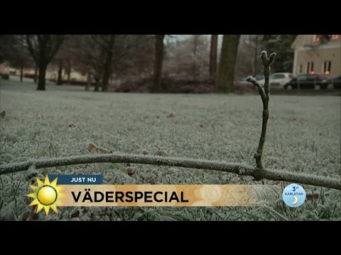 Meteorologen: "Nu kommer snön" - Nyhetsmorgon (TV4)