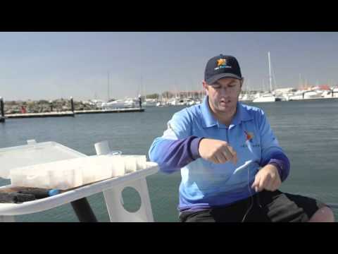 Recfishwest | How to tie a bottom rig