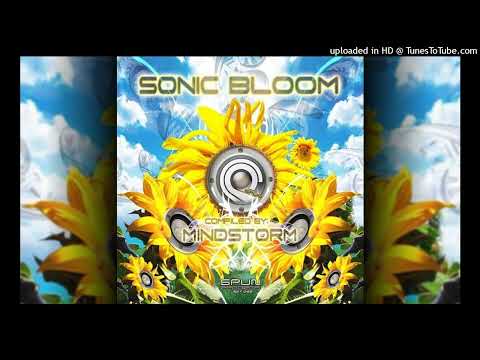 Cyrus The Virus Vs. Dr. Hoffman - Joint Engineering