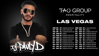 DJ Pauly D Las Vegas Residency 2024 Tao Group Hospitality