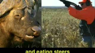 Nofx - You&#39;re wrong