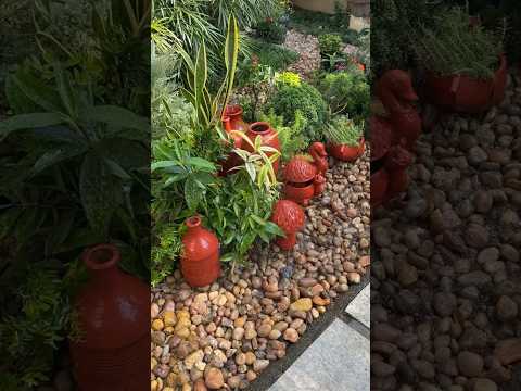 Home 🏡| painting completed #jishnuuthaman #keralagarden #gardening