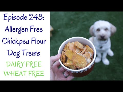 Allergen Free Chickpea Flour Dog Treats // Wheat Free // Dairy Free