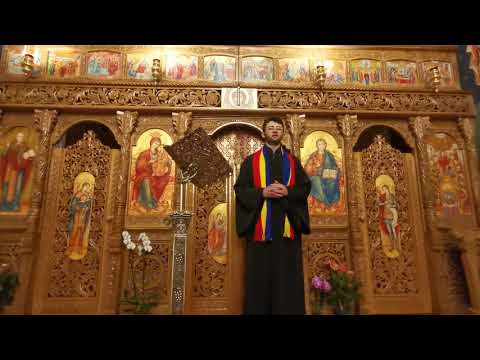 Stef Mihnea - Dacă n-ai fi tu Iisuse