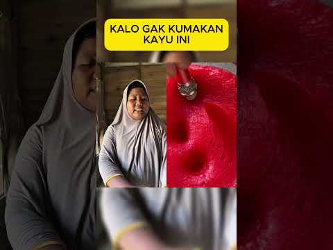 AKU GAK BIASA MAKAN KAYU, KU GIGIT MAMAK KU #asmr #fyp #shorts #shortvideo #satisfyling