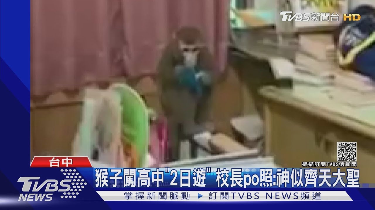 猴子闖高中「2日遊」　校長po照：神似齊天大聖