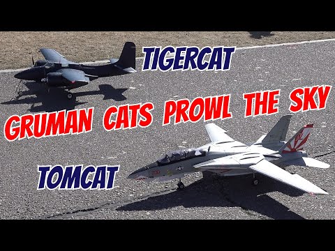 F-14 & F7F Heritage Flight