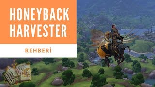 World of Warcraft: Battle for Azeroth | Honeyback Harvester Rehberi [Türkçe]