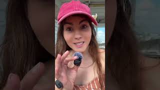 EXTREME CRUISE SERIES: Ship 6: Worlds Worst Rated Cruise Review- Margaritaville in Paradise🌴 Day 1: