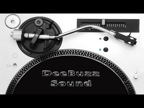 DeeBuzz Sound 100% Dubplate Mix