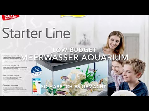 I build a saltwater aquarium ⭐ Low Budget Tetra ⭐ Episode 1 ⭐ What you need to get started