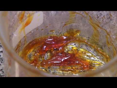 Pesquisadores da Unesp RC descobrem solução contra o aedes aegypti