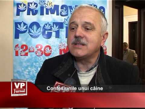Confesiunile unui câine