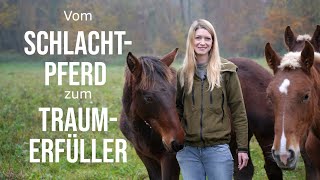 😍Darf ich vorstellen? Vom Schlachtpferd zum Traumerfüller - Mein neues Kapitel🐎