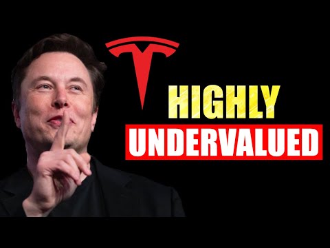 REPORT LEAKED Revealing TSLA Stock Is Worth $3,369!